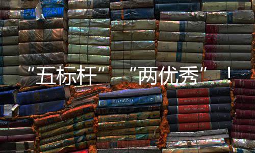 两优秀行动标杆百五团在中资委中创国务改建集佳绩双科考核院国