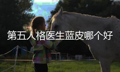 第五蓝皮性价比适用人格好，医生哪个
