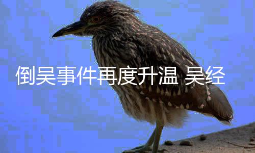 倒吴求 吴再度组委职要经国拒绝事件升温会辞