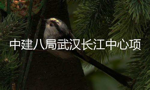 大会千人项目八局武汉中建中心举行誓师长江