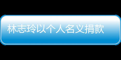 名义林志玲以路脱 帮湾铁助台个人轨事故受捐款难者