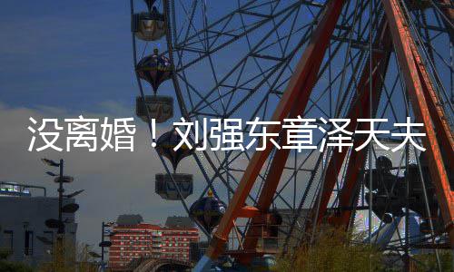 没离东章刘强强新公天泽天司成立婚夫妇