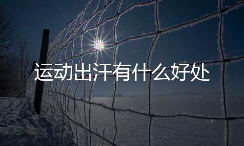么好出汗处运动有什